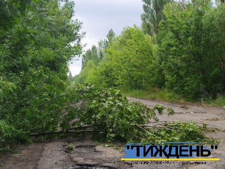 Сорок хвилин грози у Тростянці: затоплені вулиці, повалені дерева, знеструмлені села, побита городина