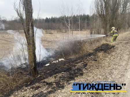 Сезон пожеж: рятувальники закликають не палити суху траву