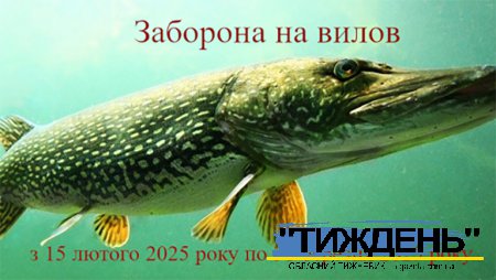 Встановлена заборона на вилов щуки звичайної