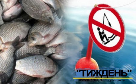 Увага, нерест!