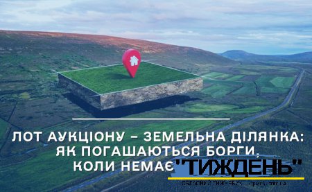 Продаж земельної ділянки дозволив її власнику позбутися аліментної заборгованості