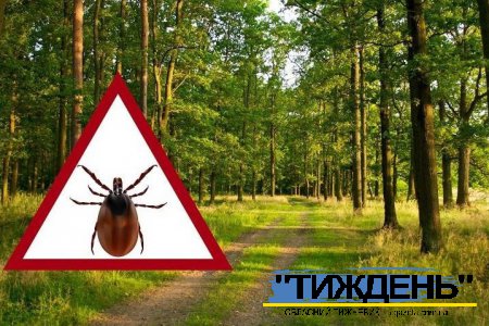 З початком весни кліщі повиходили із стану зимівлі