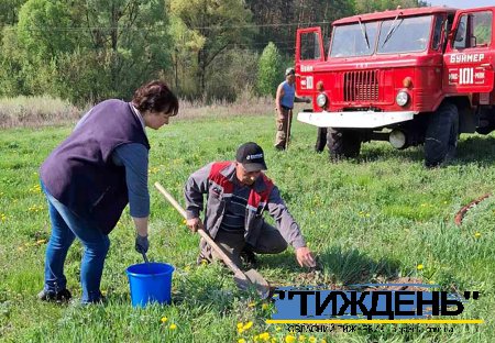 У Буймері розростається горіховий сад