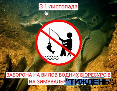 На Сумщині з 1 листопада вводиться заборона на вилов риби у зимувальних ямах