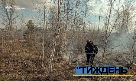 ДСНС закликає: не паліть суху рослинність