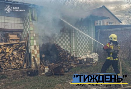 У Тростянці вогнеборці ліквідували загоряння дровника
