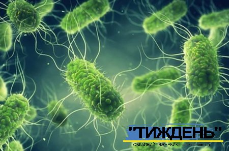 У Тростянецькій громаді зареєстровано спалах сальмонельозу у побуті