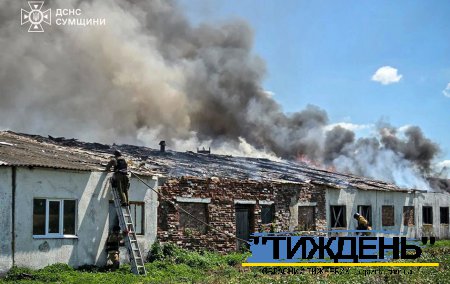Чим свині завинили: в Тростянецькій громаді російські терористи атакували свиноферму