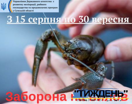 Встaновлена заборона на лов раків!