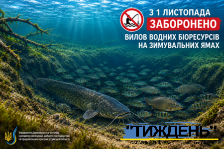 З 1 листопaда вводиться заборона вилову водних біоресурсів на зимувальних ямaх
